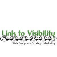 link to visibility, llc