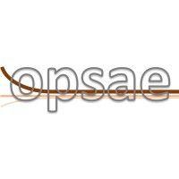 opsae limited logo image