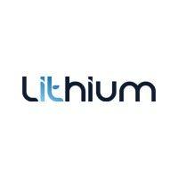 lithium systems limited logo image