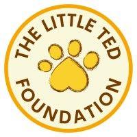 the little ted foundation