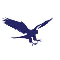 birds of prey foundation logo image