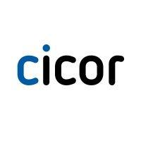 cicor group logo image