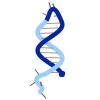 molecular instruments