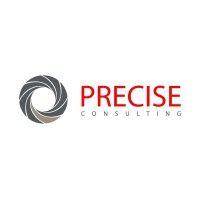 precise consulting