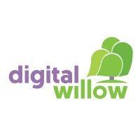 digital willow logo image