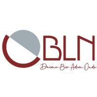 bln customs brokerage & logistics logo image