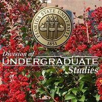 florida state university - division of undergraduate studies logo image