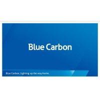 blue carbon technology logo image