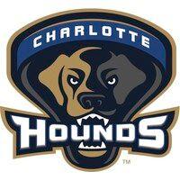 charlotte hounds logo image