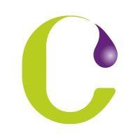 caetano coatings, s.a. logo image