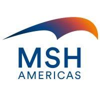 msh americas -  diot-siaci group logo image