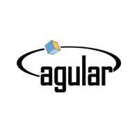 agular systems