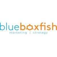 blueboxfish logo image