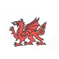 physiotherapy wales ltd logo image