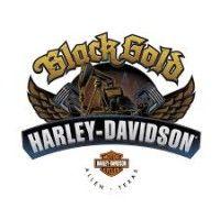 black gold harley-davidson logo image