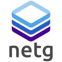 netg logo image