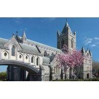 christ church cathedral dublin logo image