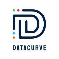 datacurve, inc. logo image