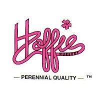 hoffie nursery inc. logo image