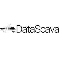 datascava logo image