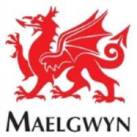 maelgwyn mineral services ltd logo image