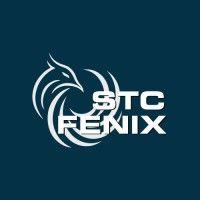 stc fénix logo image