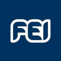 fei logo image