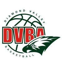 diamond valley basketball association logo image