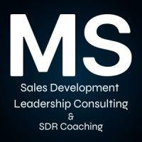 marco santa maria | sales development consulting