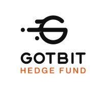 gotbit hedge fund logo image