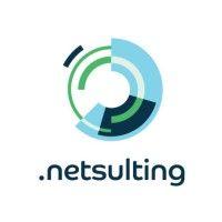 netsulting, agence communication & web logo image