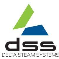 delta steam systems logo image