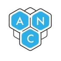 analytic-network coaching logo image