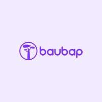 baubap logo image