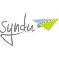 syndu web