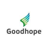 goodhope asia holdings ltd logo image