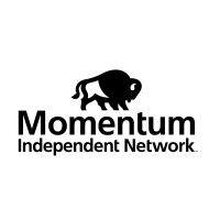 momentum independent network