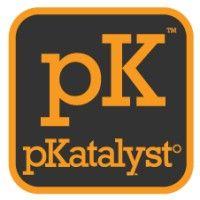 pkatalyst - customer intelligence & acquisition platform for brick & mortar logo image