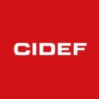 cidef s.a. logo image