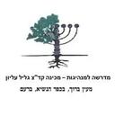 logo of Galil Elyon Leadership Institute