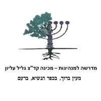 galil elyon leadership institute logo image