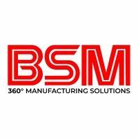 bsm india logo image