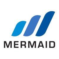 mermaid subsea services (thailand) ltd logo image