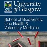 university of glasgow school of biodiversity, one health and  veterinary medicine