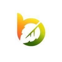 birch group ltd logo image