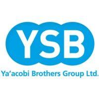 ysb group logo image