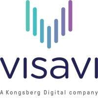 visavi logo image