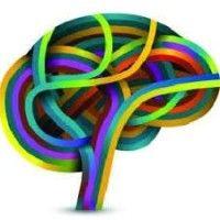 brainframe learning logo image