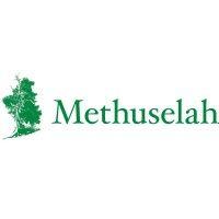 methuselah advisors logo image