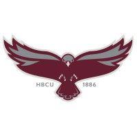 university of maryland eastern shore logo image